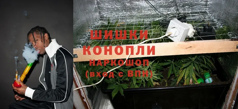 Шишки марихуана White Widow  даркнет клад  Алзамай 